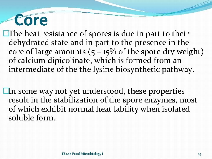 Core �The heat resistance of spores is due in part to their dehydrated state