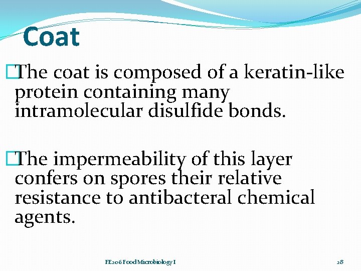 Coat �The coat is composed of a keratin-like protein containing many intramolecular disulfide bonds.