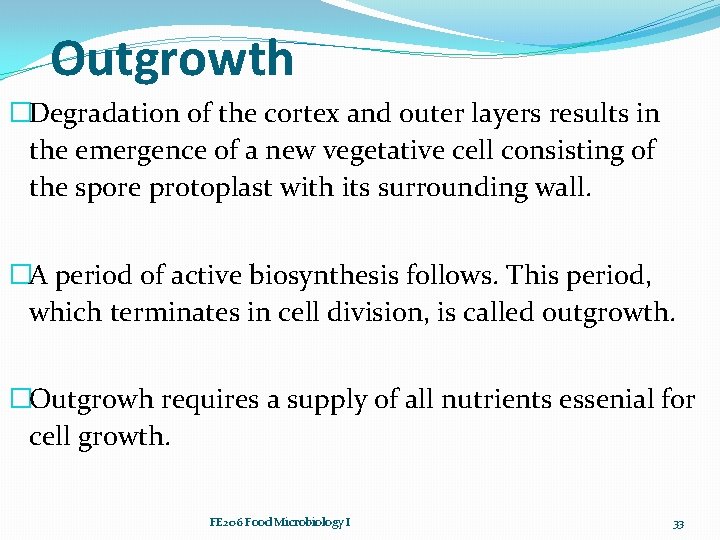 Outgrowth �Degradation of the cortex and outer layers results in the emergence of a