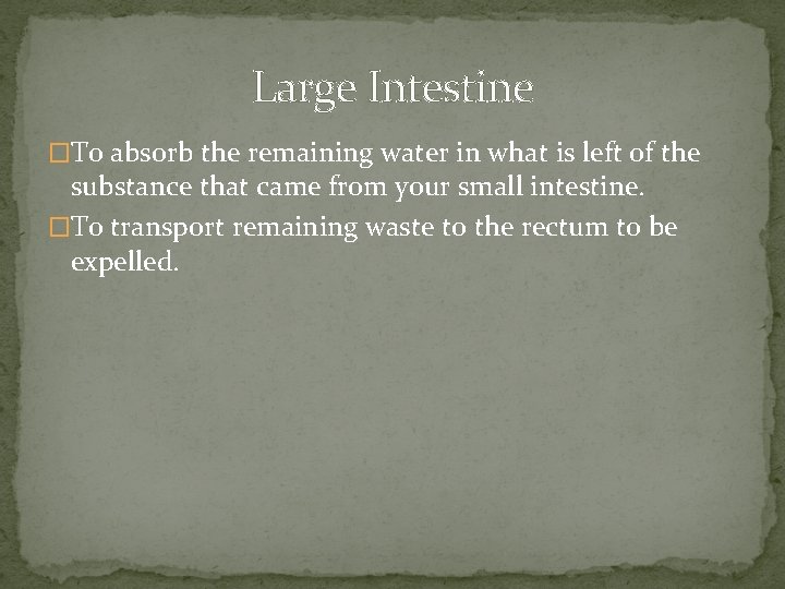 Large Intestine �To absorb the remaining water in what is left of the substance