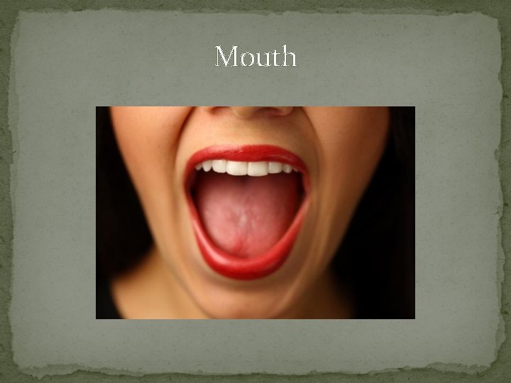 Mouth 