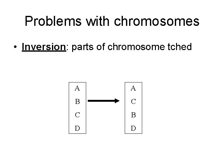 Problems with chromosomes • Inversion: parts of chromosome tched A A B C C