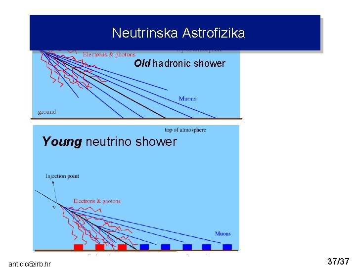 Down-going neutrinos Neutrinska Astrofizika Old hadronic shower Young neutrino shower Introduction anticic@irb. hr Silicon