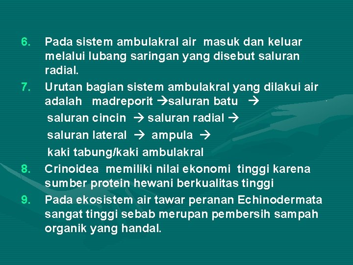 6. 7. 8. 9. Pada sistem ambulakral air masuk dan keluar melalui lubang saringan