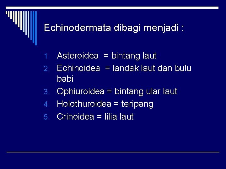 Echinodermata dibagi menjadi : 1. Asteroidea = bintang laut 2. Echinoidea = landak laut