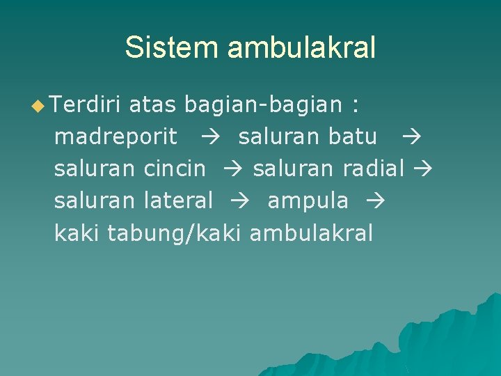 Sistem ambulakral u Terdiri atas bagian-bagian : madreporit saluran batu saluran cincin saluran radial