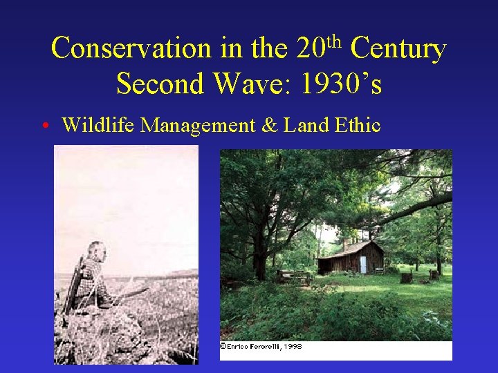Conservation in the 20 th Century Second Wave: 1930’s • Wildlife Management & Land