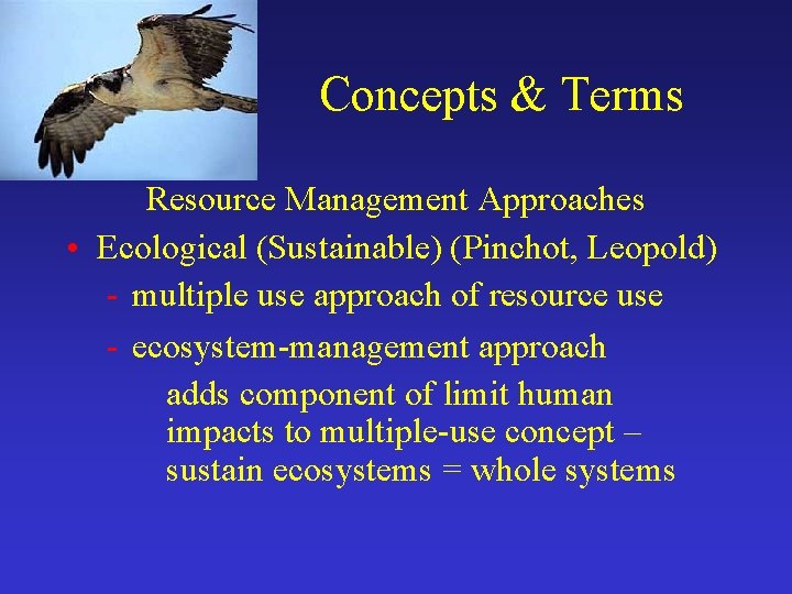 Concepts & Terms Resource Management Approaches • Ecological (Sustainable) (Pinchot, Leopold) - multiple use