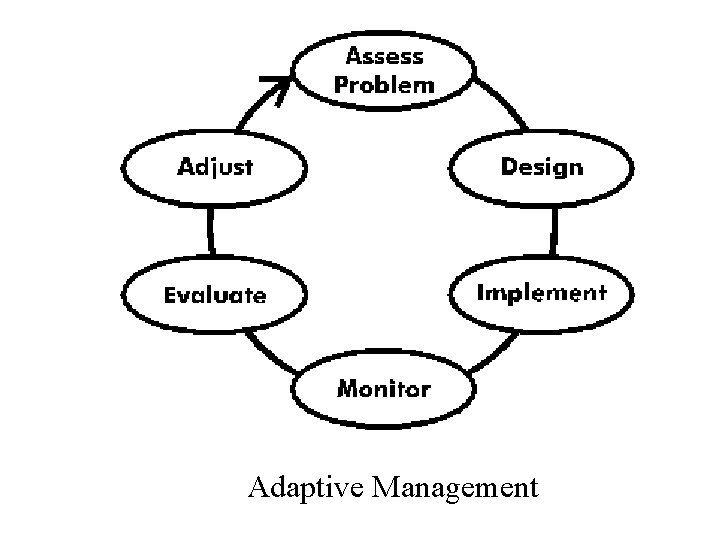 Adaptive Management 