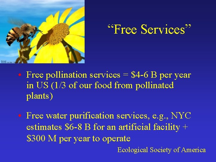 “Free Services” • Free pollination services = $4 -6 B per year in US