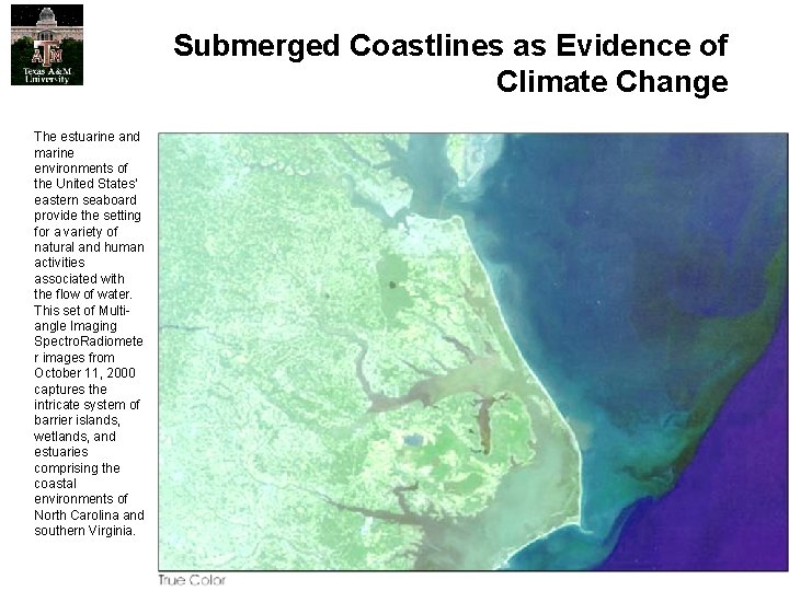 Submerged Coastlines as Evidence of Climate Change The estuarine and marine environments of the