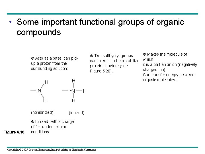  • Some important functional groups of organic compounds Two sulfhydryl groups Acts as