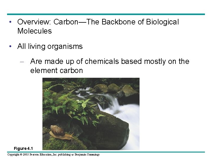  • Overview: Carbon—The Backbone of Biological Molecules • All living organisms – Are
