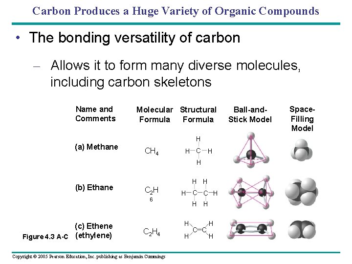 Carbon Produces a Huge Variety of Organic Compounds • The bonding versatility of carbon