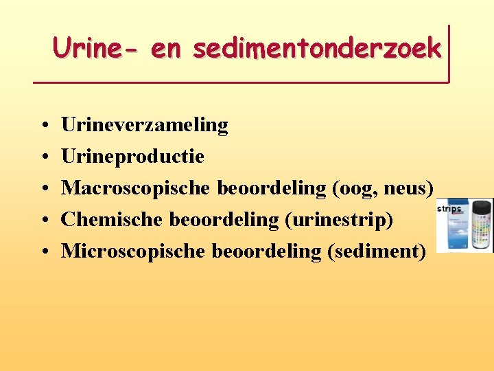 Urine- en sedimentonderzoek • • • Urineverzameling Urineproductie Macroscopische beoordeling (oog, neus) Chemische beoordeling