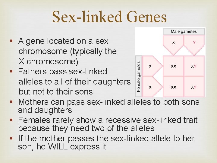 Sex-linked Genes § A gene located on a sex chromosome (typically the X chromosome)