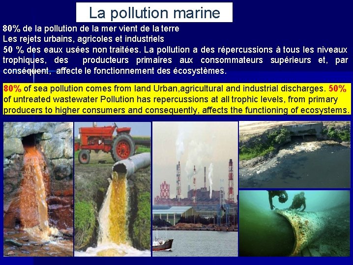 La pollution marine 80% de la pollution de la mer vient de la terre