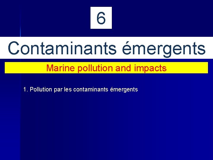 6 Contaminants émergents Marine pollution and impacts 1. Pollution par les contaminants émergents 