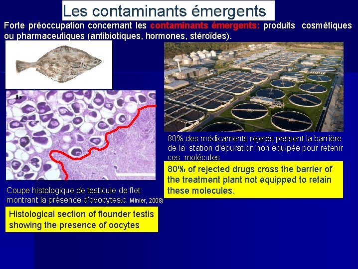 Les contaminants émergents Forte préoccupation concernant les contaminants émergents: produits cosmétiques ou pharmaceutiques (antibiotiques,