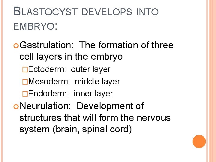 BLASTOCYST DEVELOPS INTO EMBRYO: Gastrulation: The formation of three cell layers in the embryo