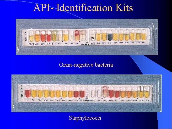 API- Identification Kits Gram-negative bacteria Staphylococci 