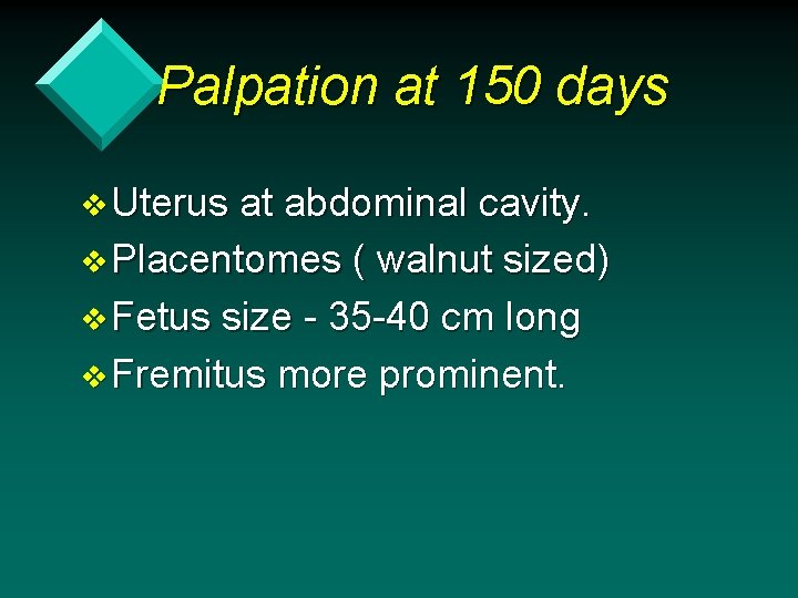 Palpation at 150 days v Uterus at abdominal cavity. v Placentomes ( walnut sized)