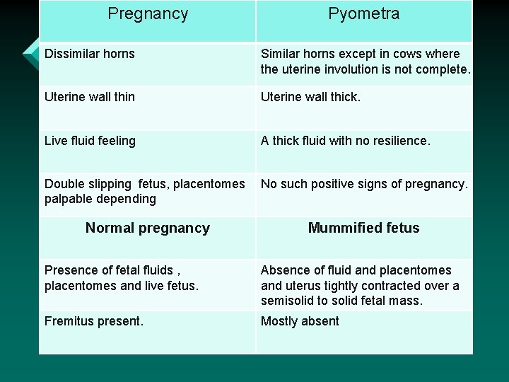 Pregnancy Pyometra Dissimilar horns Similar horns except in cows where the uterine involution is