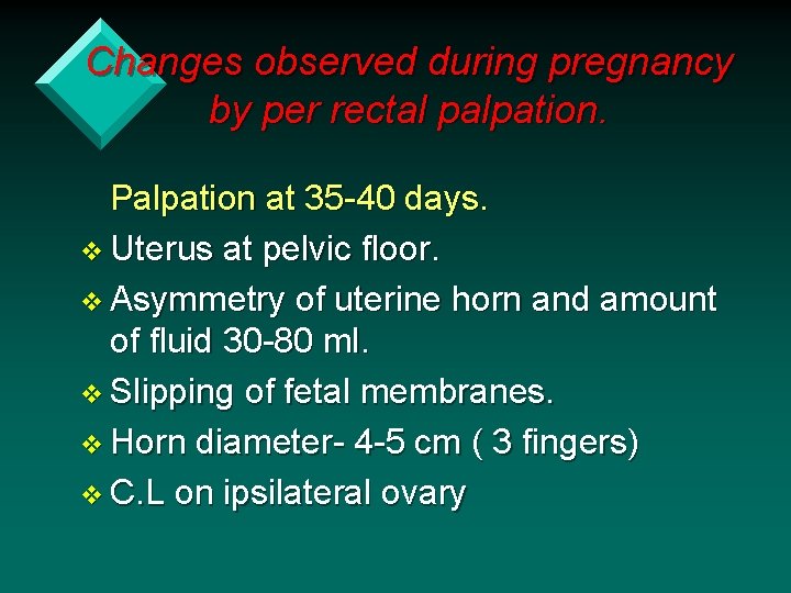 Changes observed during pregnancy by per rectal palpation. Palpation at 35 -40 days. v
