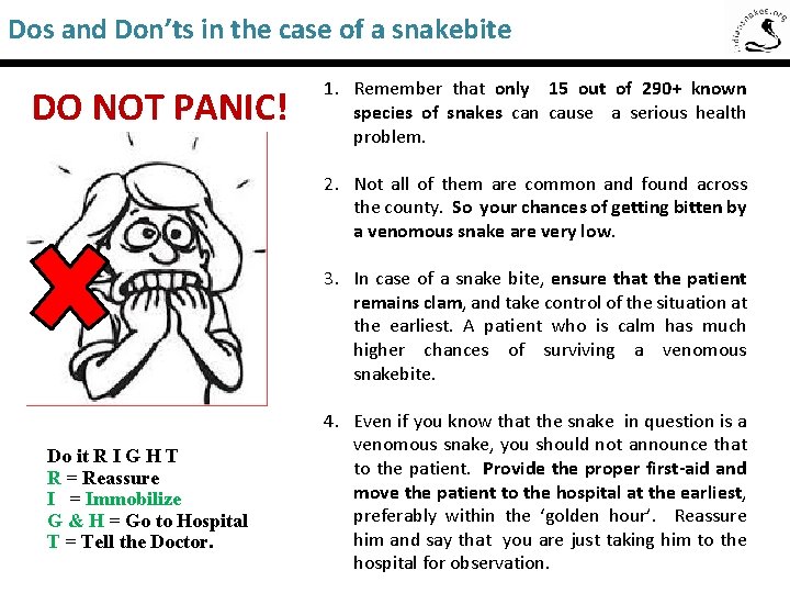 Dos and Don’ts in the case of a snakebite Saw-Scaled Viper DO NOT PANIC!