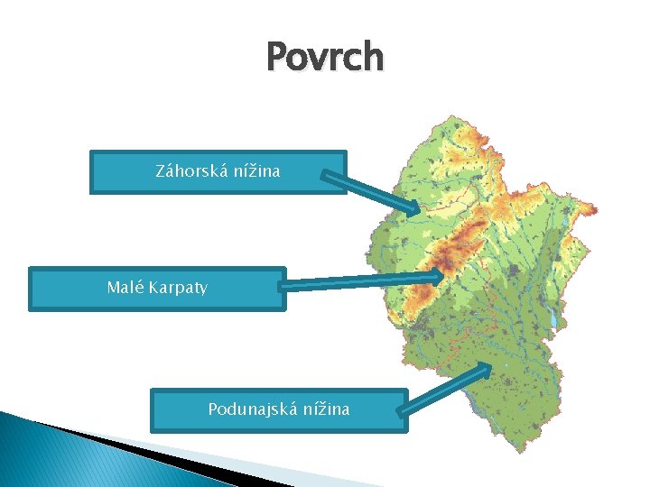 Povrch Záhorská nížina Malé Karpaty Podunajská nížina 
