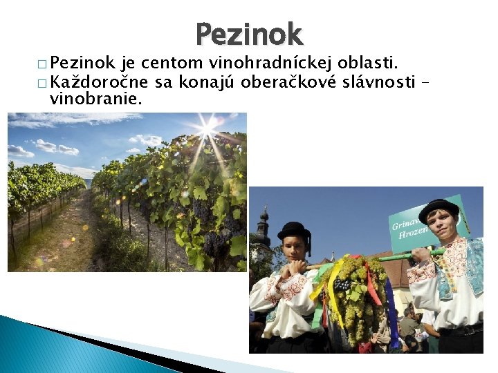 � Pezinok je centom vinohradníckej oblasti. � Každoročne sa konajú oberačkové slávnosti – vinobranie.