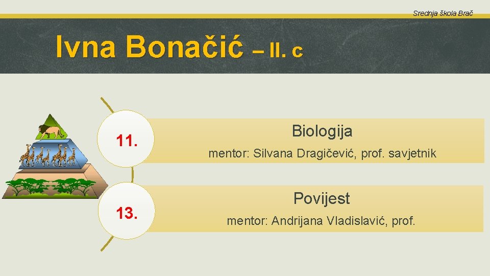 Srednja škola Brač Ivna Bonačić – II. c 11. 13. Biologija mentor: Silvana Dragičević,