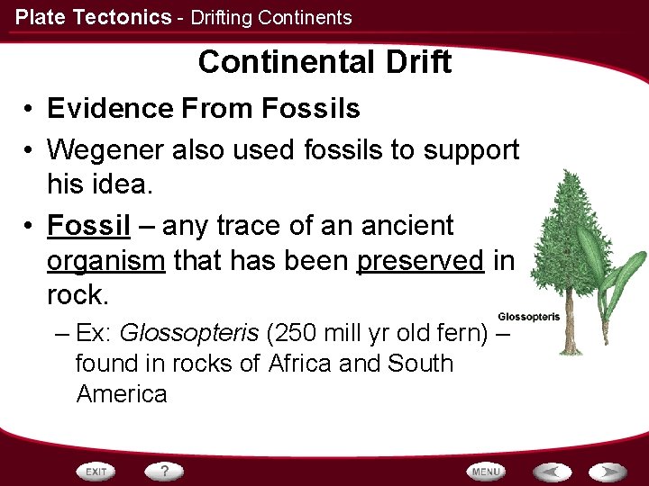 Plate Tectonics - Drifting Continents Continental Drift • Evidence From Fossils • Wegener also
