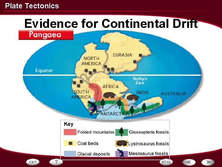 Plate Tectonics Evidence for Continental Drift 