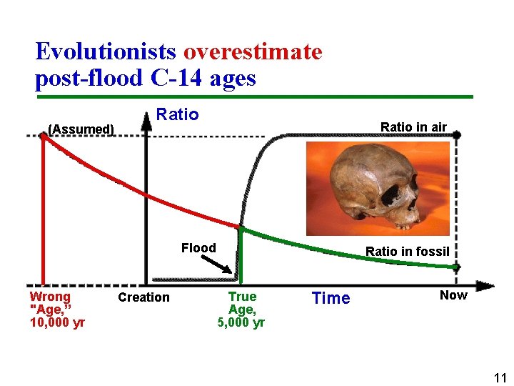 Evolutionists overestimate post-flood C-14 ages (Assumed) Ratio in air Flood Wrong "Age, ” 10,