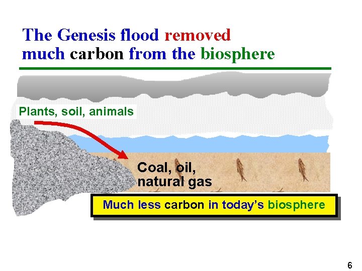 The Genesis flood removed much carbon from the biosphere Plants, soil, animals Coal, oil,