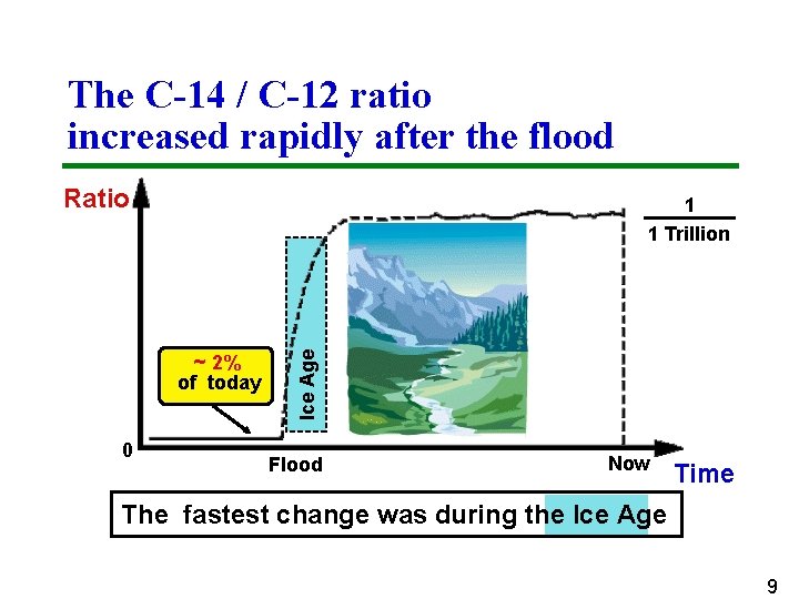The C-14 / C-12 ratio increased rapidly after the flood Ratio ~ 2% of
