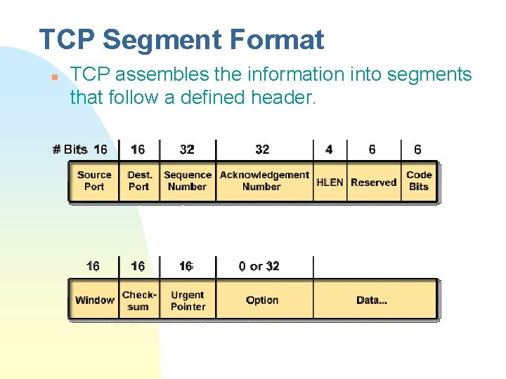 TCP Segment Format n TCP assembles the information into segments that follow a defined
