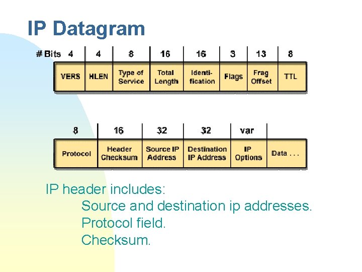 IP Datagram IP header includes: Source and destination ip addresses. Protocol field. Checksum. 