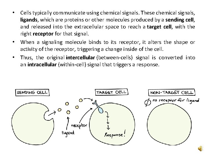  • Cells typically communicate using chemical signals. These chemical signals, ligands, which are