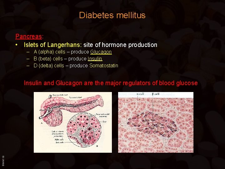 Diabetes mellitus Pancreas: • Islets of Langerhans: site of hormone production – A (alpha)