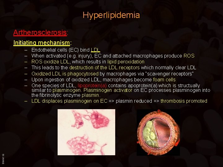 Hyperlipidemia Artherosclerosis: Initiating mechanism: – – – – BIMM 118 Endothelial cells (EC) bind