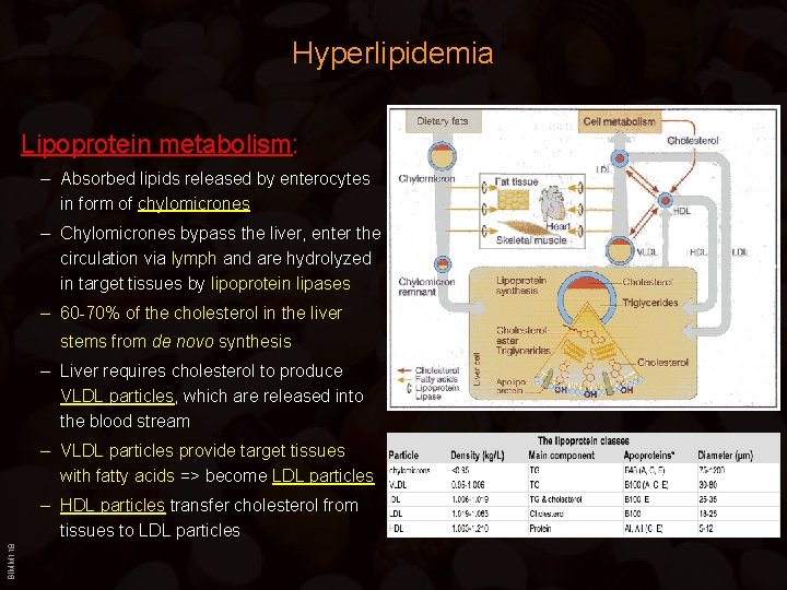 Hyperlipidemia Lipoprotein metabolism: – Absorbed lipids released by enterocytes in form of chylomicrones –