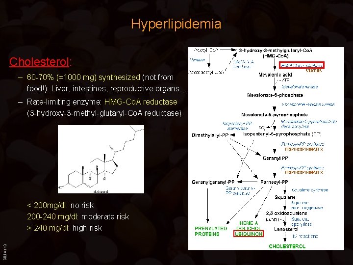 Hyperlipidemia Cholesterol: – 60 -70% (=1000 mg) synthesized (not from food!): Liver, intestines, reproductive