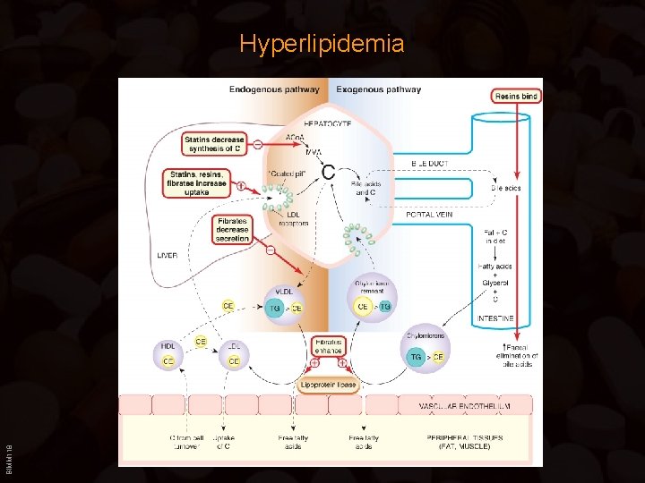 BIMM 118 Hyperlipidemia 