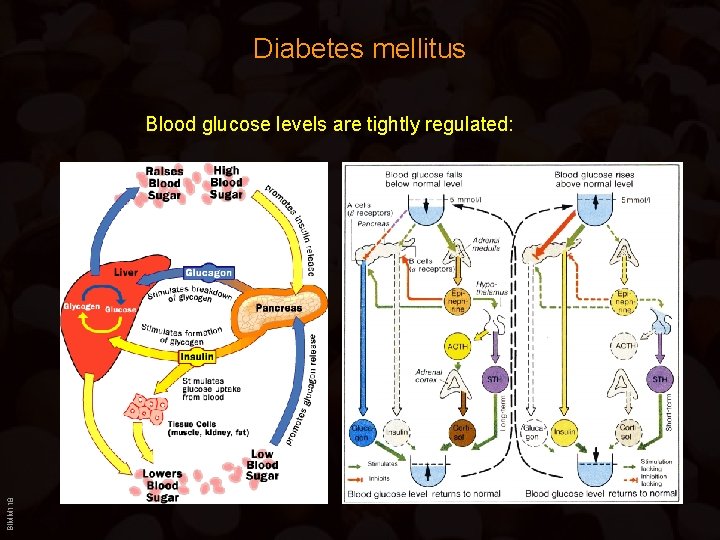 Diabetes mellitus BIMM 118 Blood glucose levels are tightly regulated: 