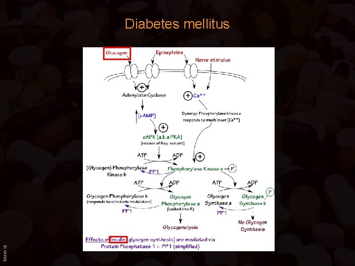 BIMM 118 Diabetes mellitus 