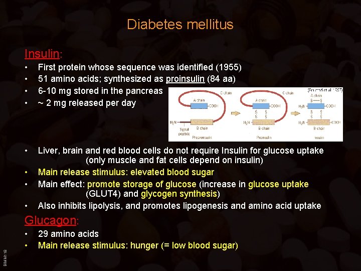 Diabetes mellitus Insulin: • • First protein whose sequence was identified (1955) 51 amino