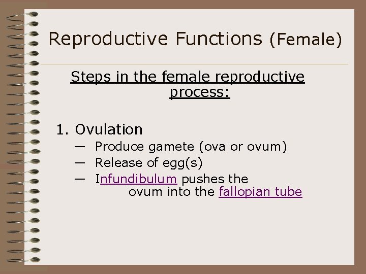 Reproductive Functions (Female) Steps in the female reproductive process: 1. Ovulation — Produce gamete