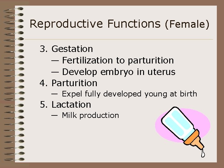 Reproductive Functions (Female) 3. Gestation — Fertilization to parturition — Develop embryo in uterus